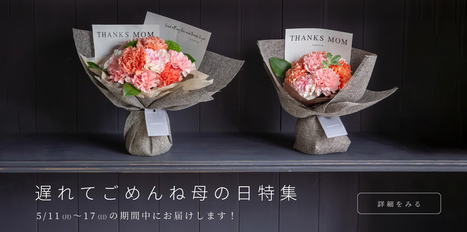 母の日遅れてごめんね