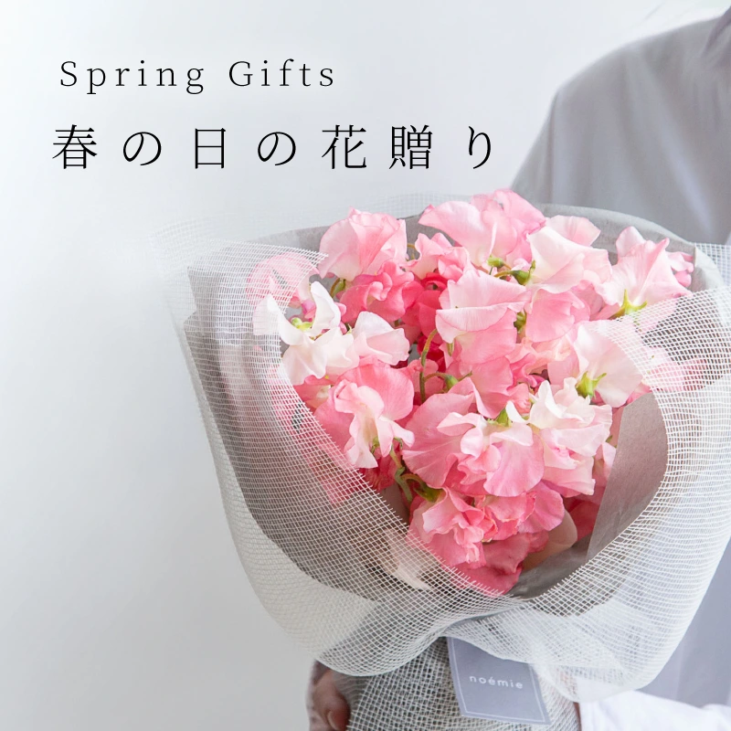 スプリングギフト特集
