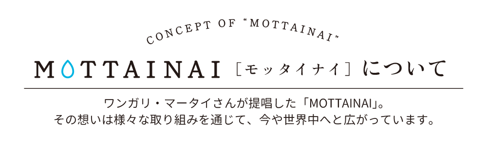 MOTTAINAI[モッタイナイ]について