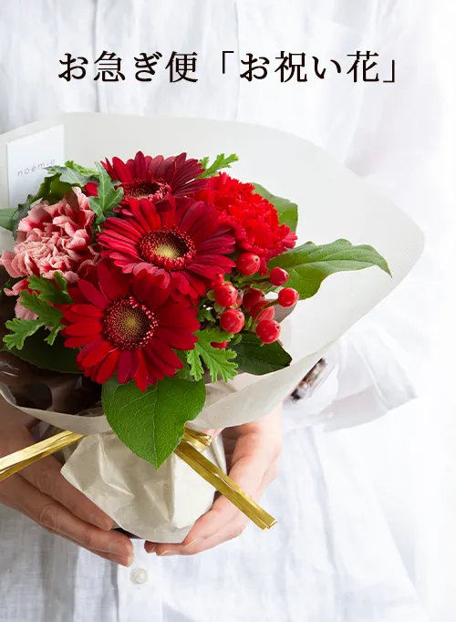 お急ぎ便「お祝い花」