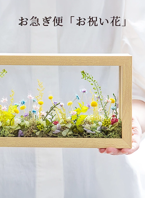 お急ぎ便「お祝い花」