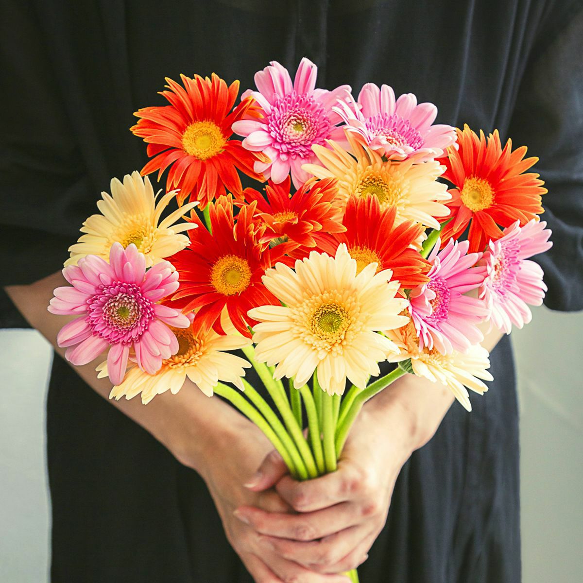 自宅で楽しむのにおすすめのフラワーギフト特集 | 可愛い花・花束